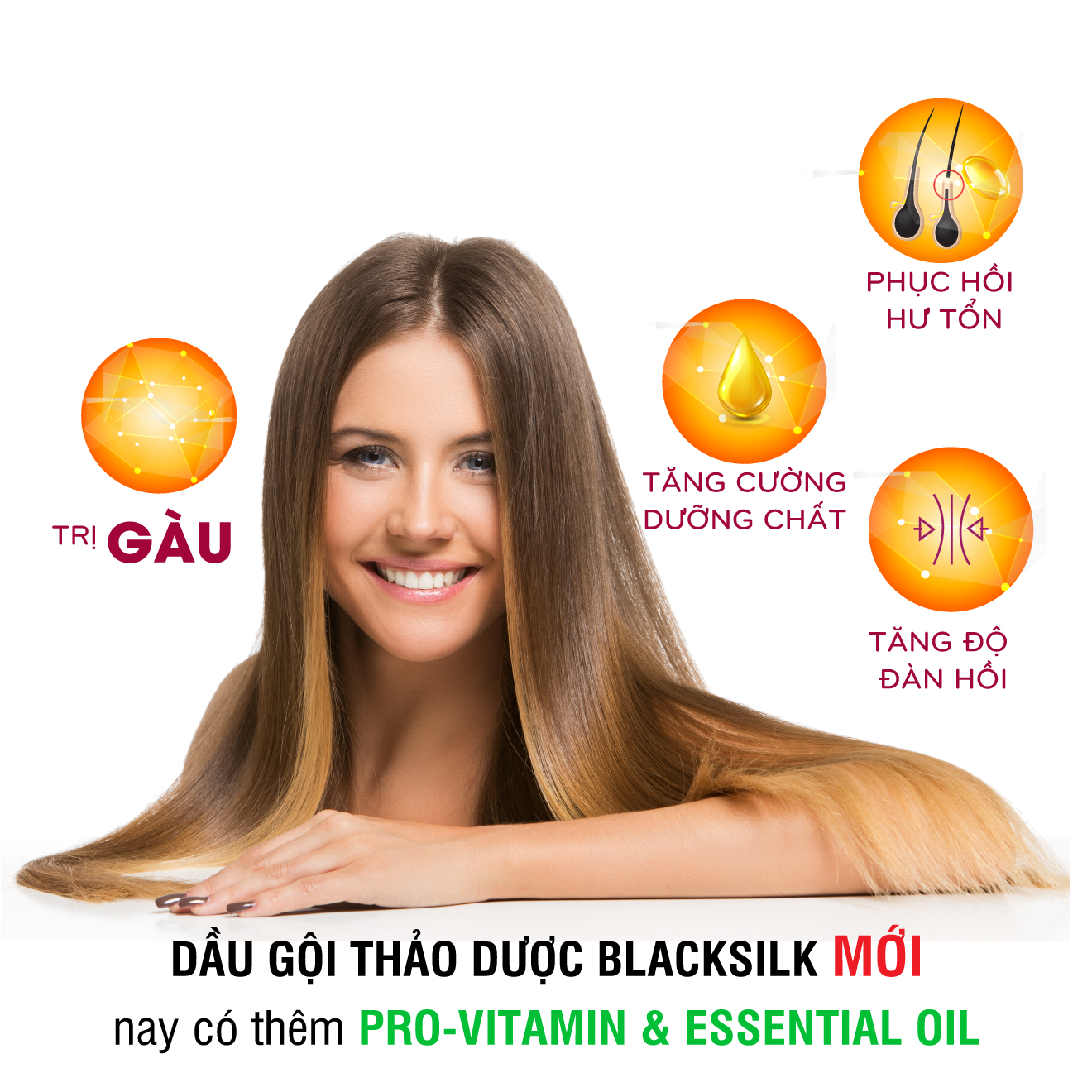 Dầu gội thảo dược Blacksilk - Kích mọc tóc, tái tạo nang tóc đen, giảm gãy rụng và nuôi dưỡng tóc từ gốc. Tích hợp cùng dầu xả trong một chai. Chai 300ml