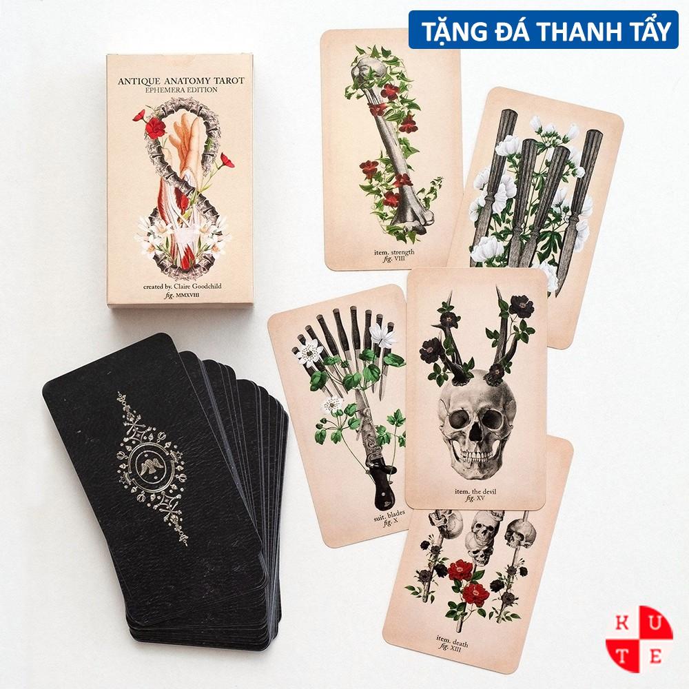 Bộ Bài Tarot The Antique Anatomy 78 Lá Bài Tặng File Tiếng Anh Và Đá Thanh Tẩy