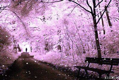 manabiya manga chapter 6.5 1