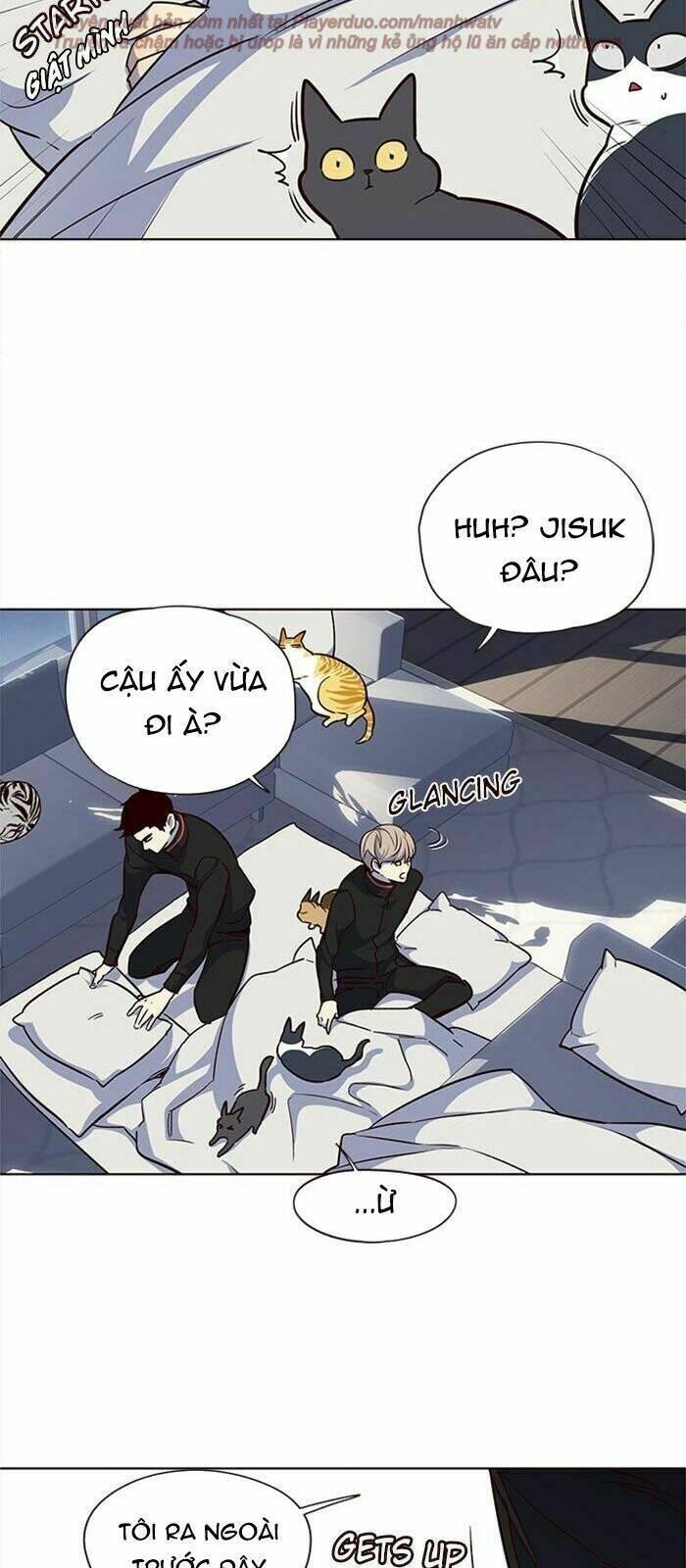 biến thân thành mèo chapter 36 68