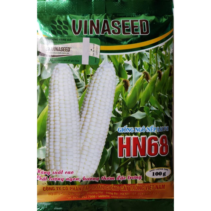Hạt Giống Ngô Nếp Dẻo Thơm Ngon Đều Hạt HN68 500gram