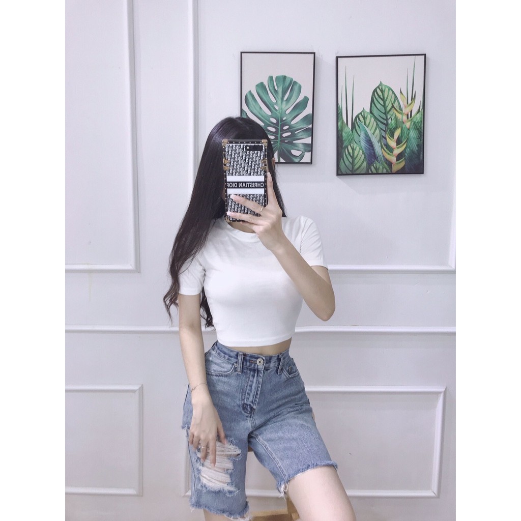 Áo Croptop Ôm Cổ Tròn Tay Ngắn Nhiều Màu