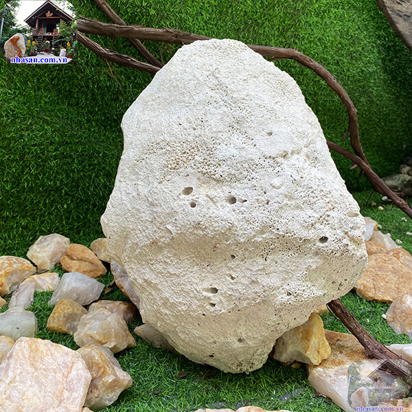 Vỏ sò hóa thạch thô - Sự thanh khiết và quý hiếm của vỏ sò tai tượng - 12.4kg (KT: 44x33 cm)- VST09