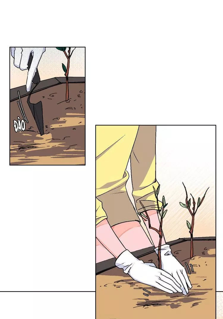 99 độ f - talk to me chapter 19 5