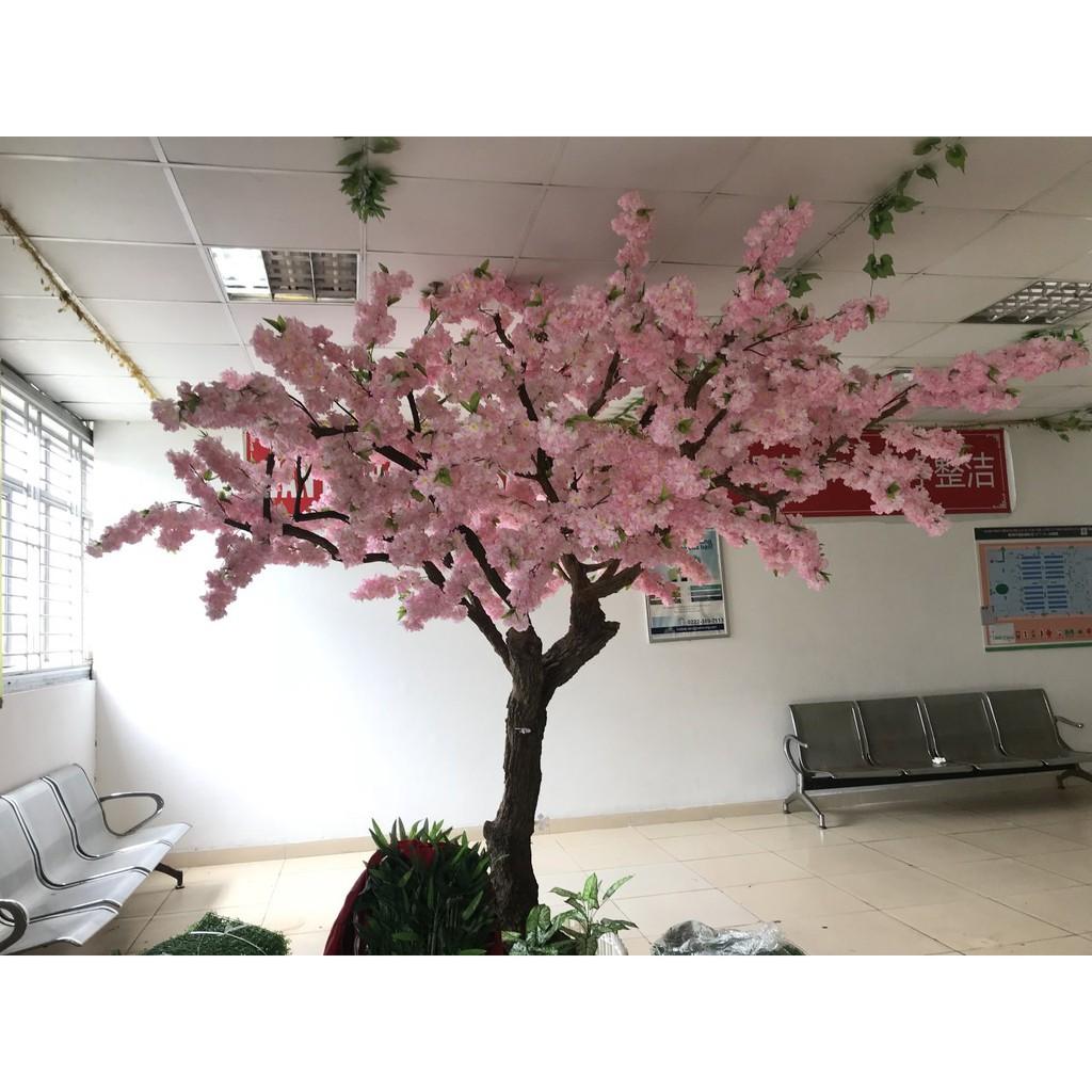 10 cành hoa đào bông xù cao cấp