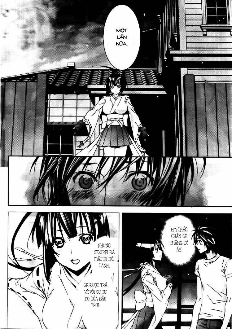 sekirei chapter 111 6
