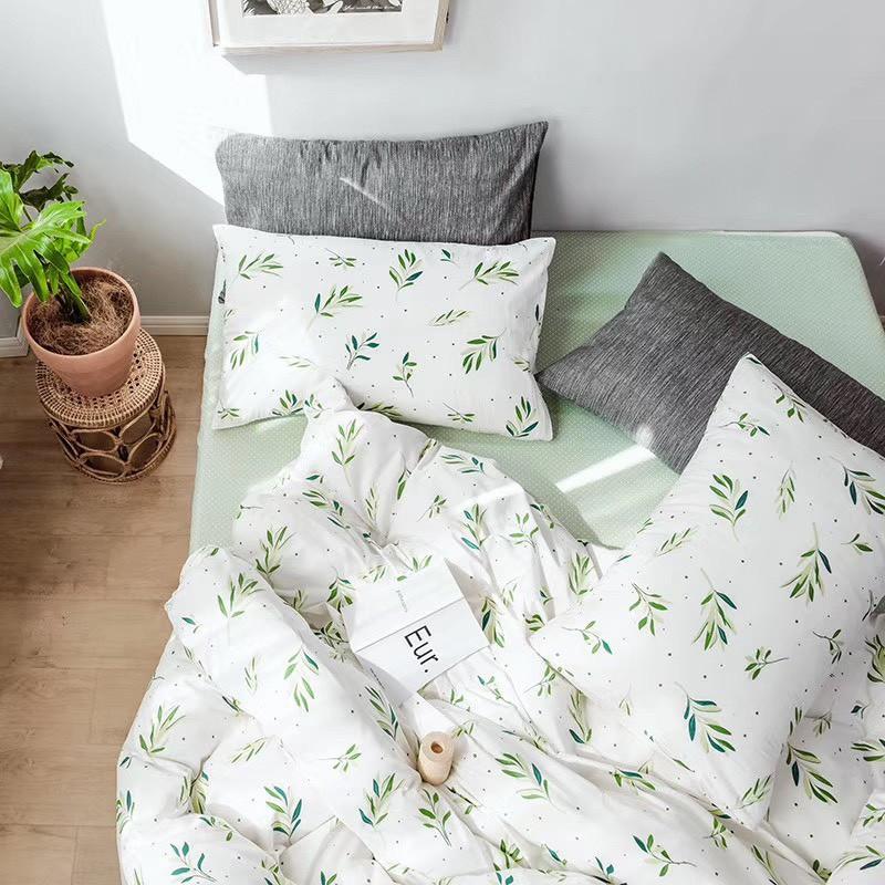 Set Chăn Ga Gối Cotton Living Cao Cấp