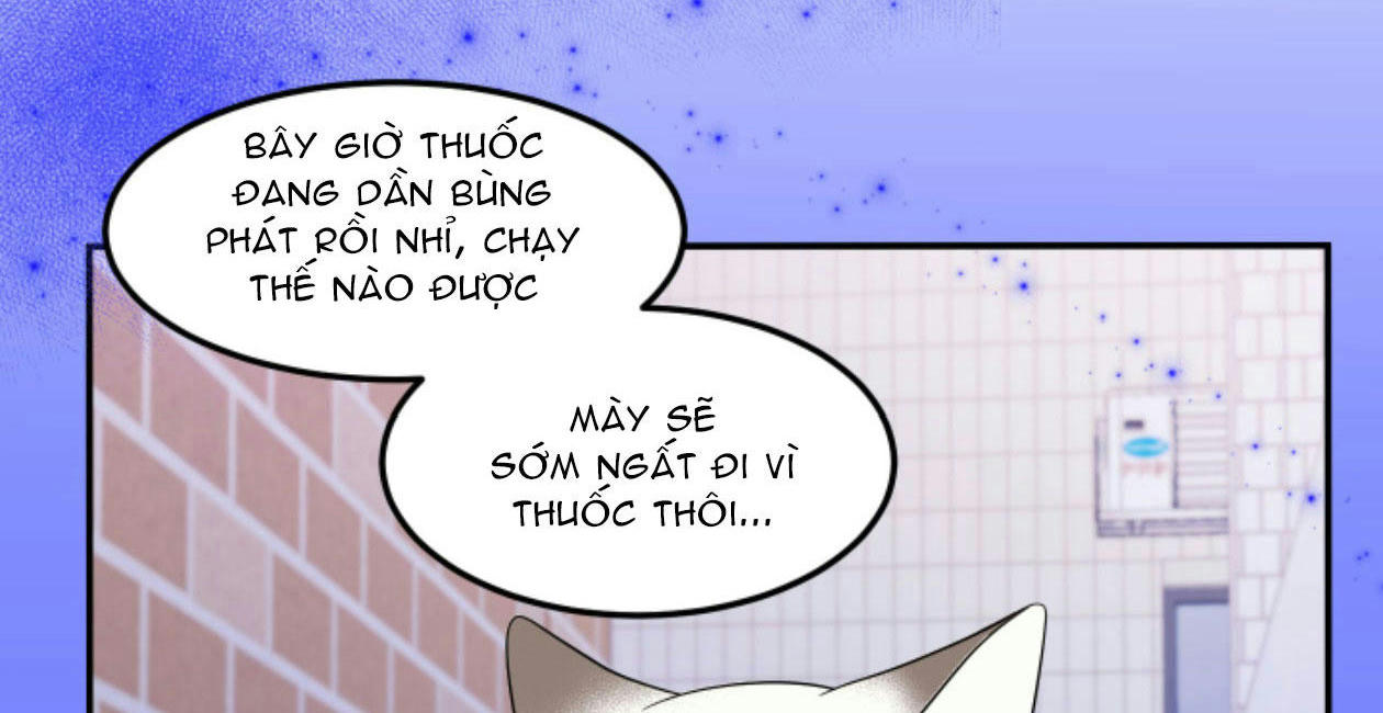 dự án xanh chapter 25 79