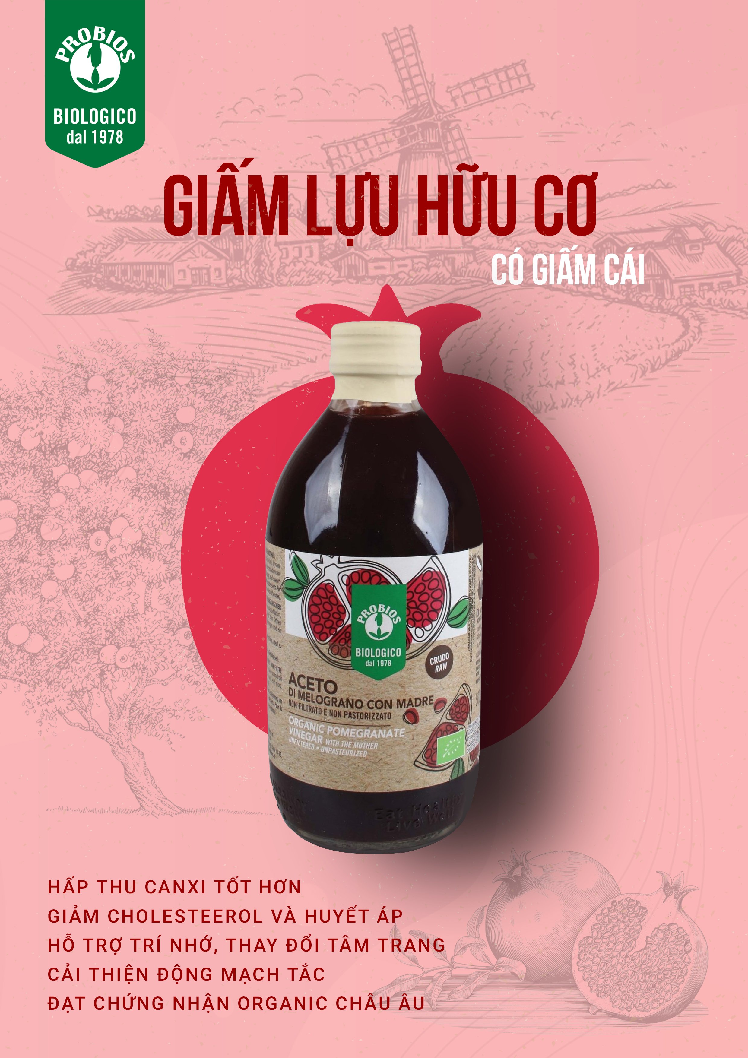 Giấm Lựu Hữu Cơ Có Giấm Cái ProBios Organic Pomegranate Cider Vinegar With The Mother