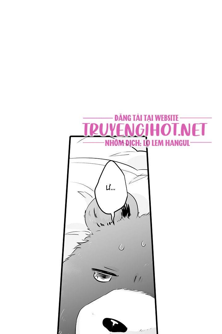 gấu ngủ đông chapter 1.1 15