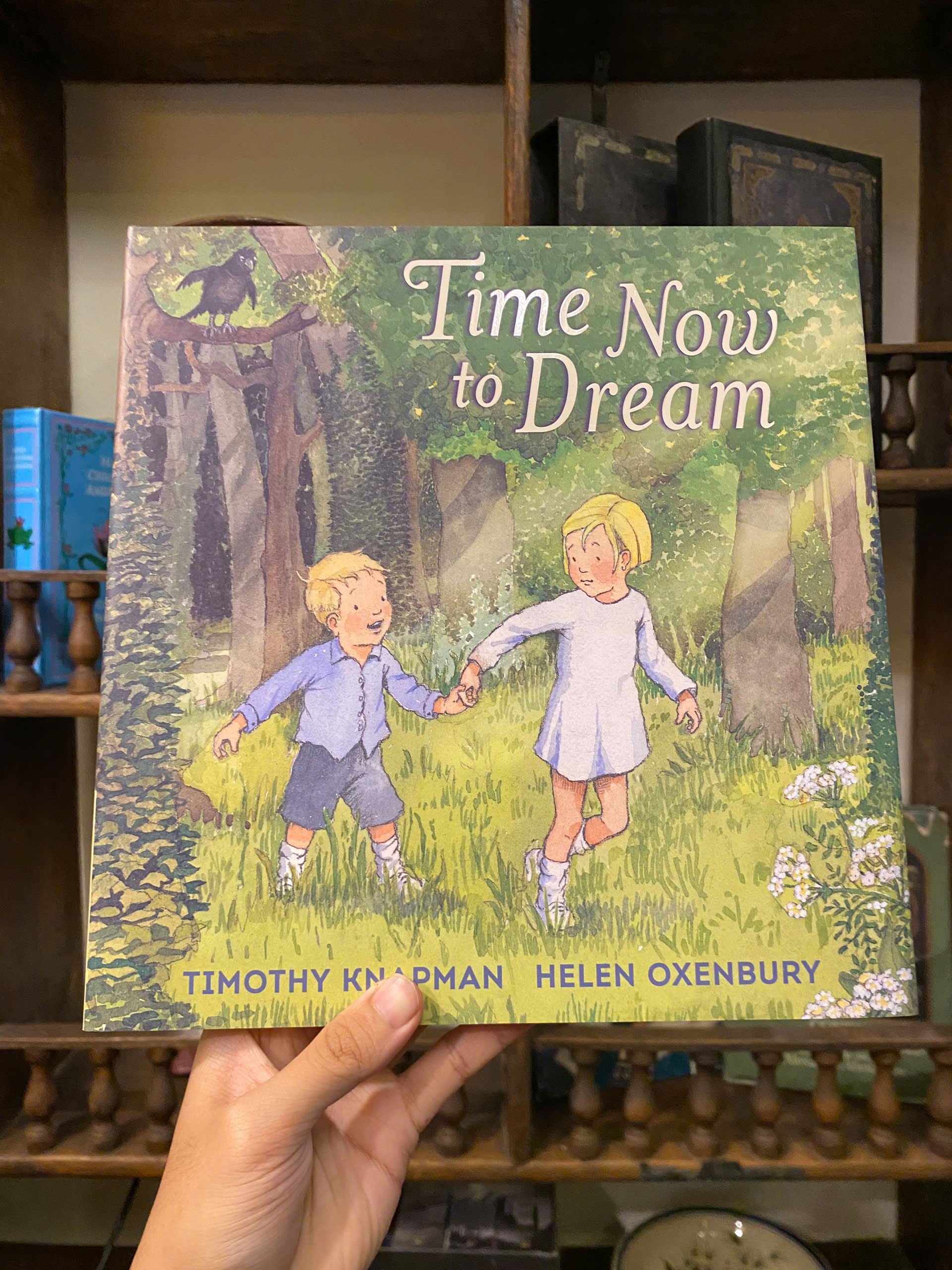 Sách - Time Now to Dream by Timothy Knapman - Children Picture book in English - Bìa Cứng