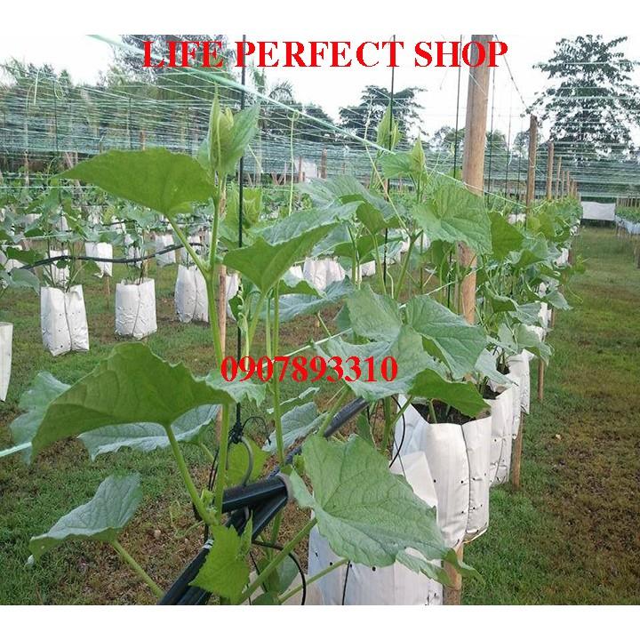 Túi trồng cây 33x17cm,Túi trồng dưa lưới, RAU SÂN THƯỢNG, CÂY CẢNH