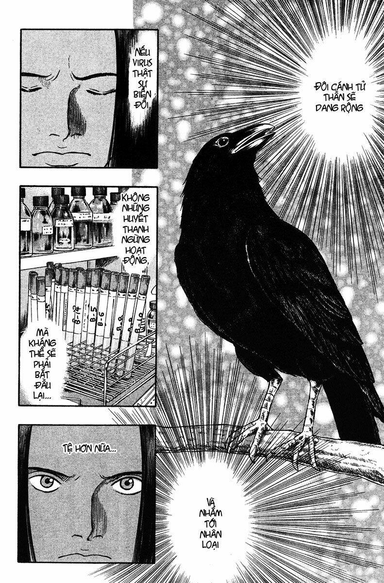 emerging chapter 22 25