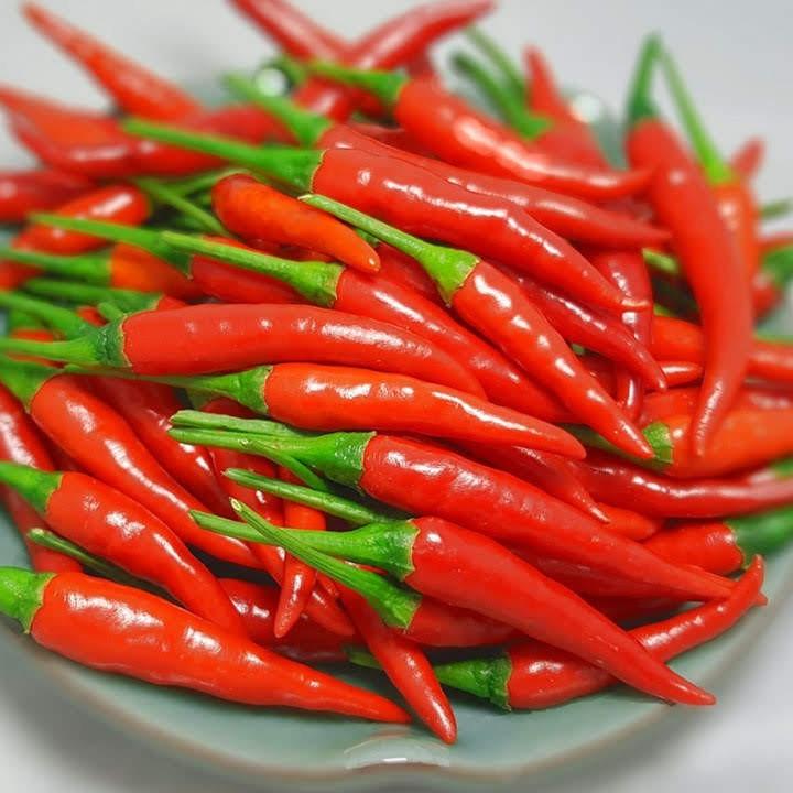 Hạt Giống Ớt Chỉ Thiên Siêu Cay gói 0.5g