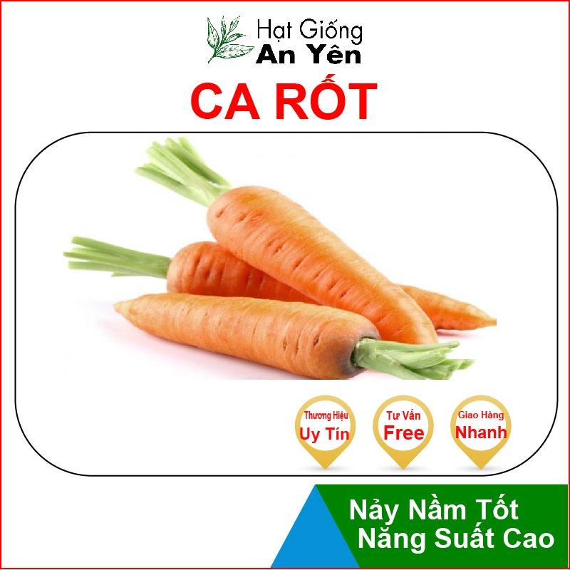 Hạt giống Củ Cà Rốt to thu hoạch sớm, dễ trồng, nảy mầm cao, sinh trưởng khoẻ