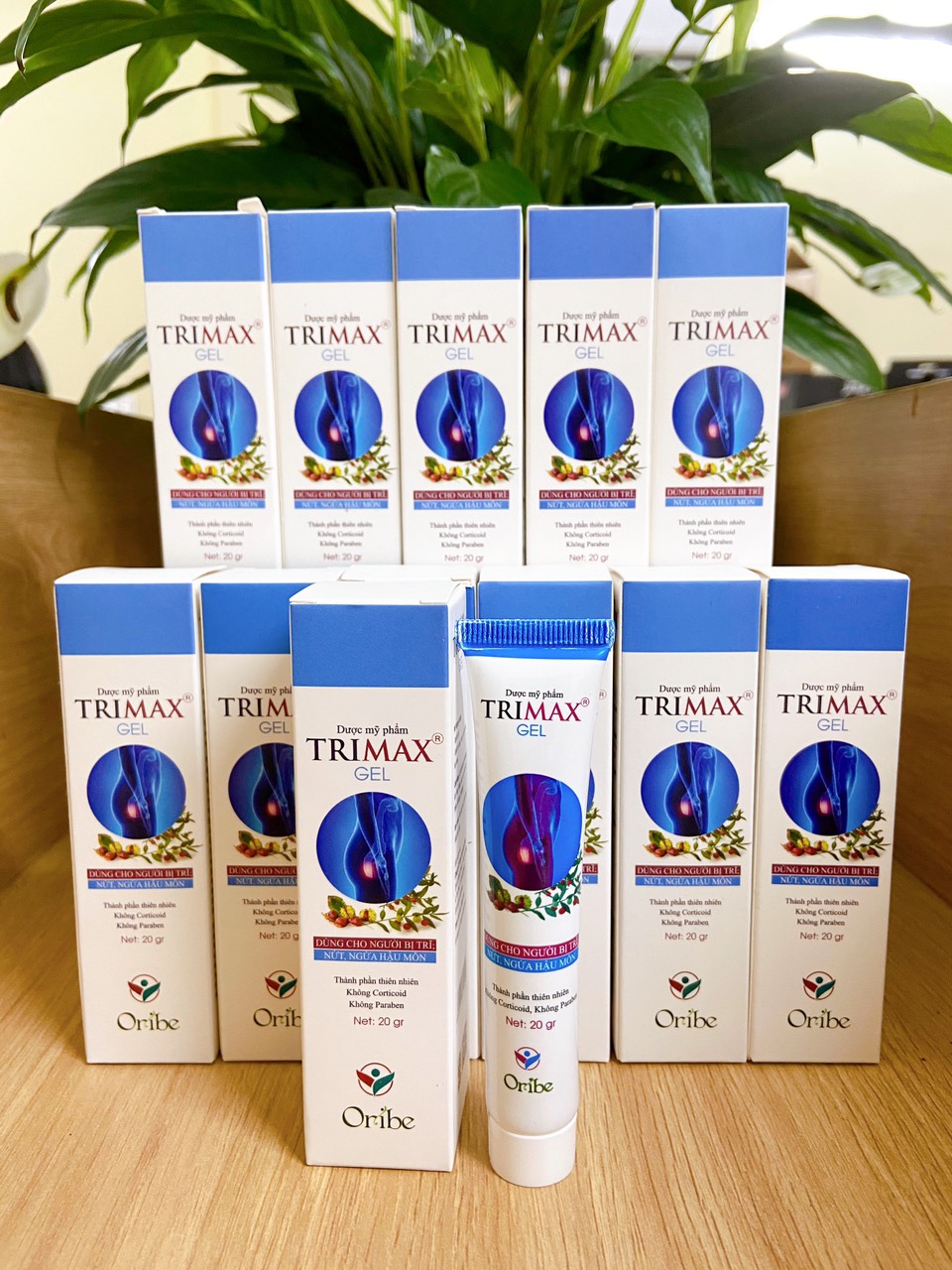 Gel Bôi Trĩ Giúp Co Búi Trĩ, Hỗ Trợ Giảm Sưng Đỏ Và Ngứa Rát Hậu Môn Do Trĩ Trimaxgel 20g - Nguyên Liệu Nhập Khẩu Từ Châu Âu