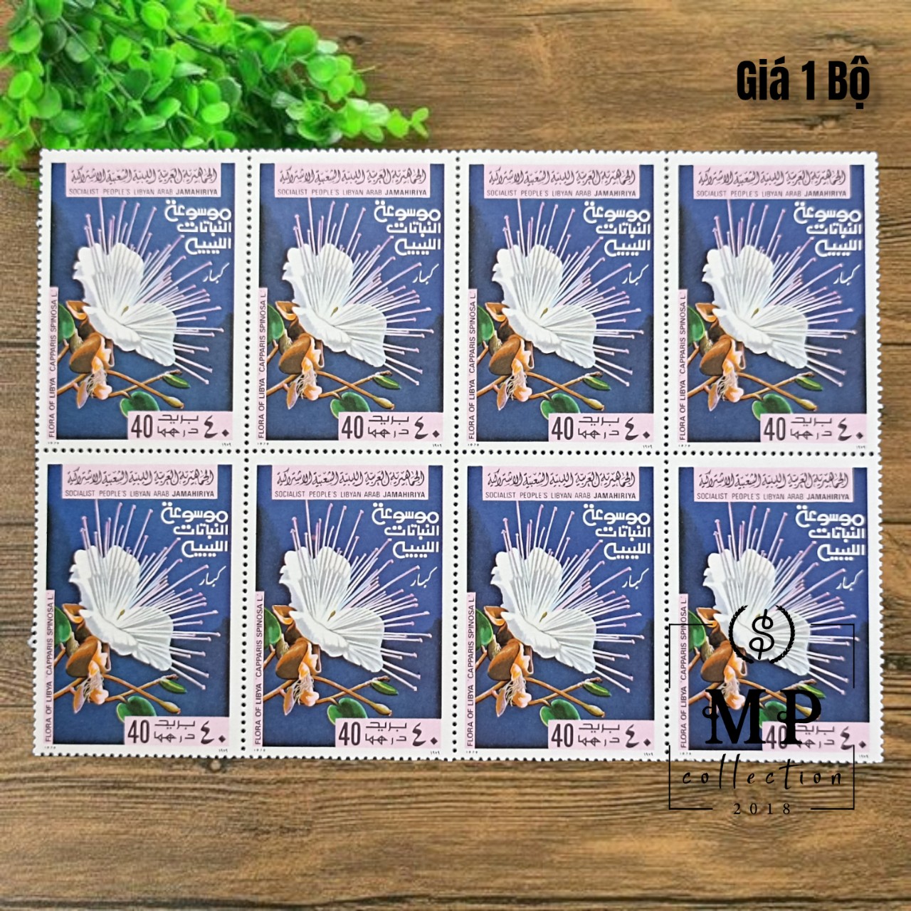 Bộ sưu tầm 6 tem hoa Libya khác nhau rực rỡ