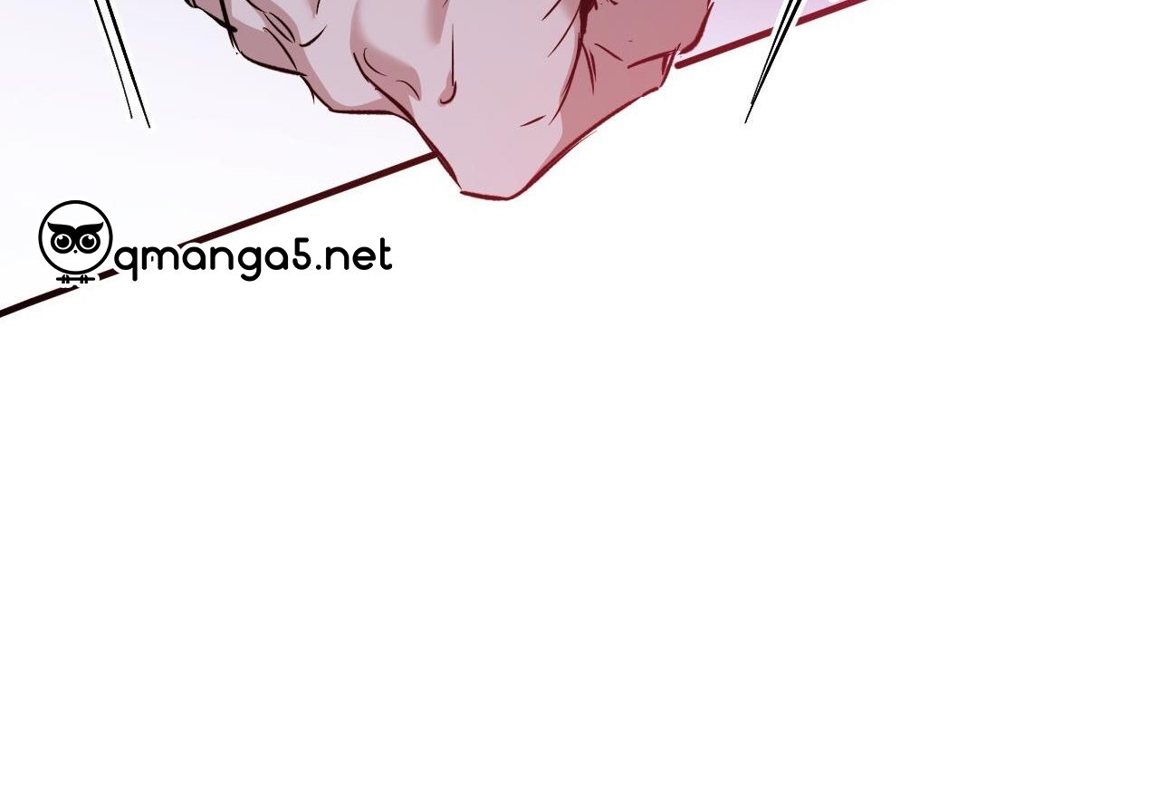 những chú thỏ của hapypy chapter 59 272