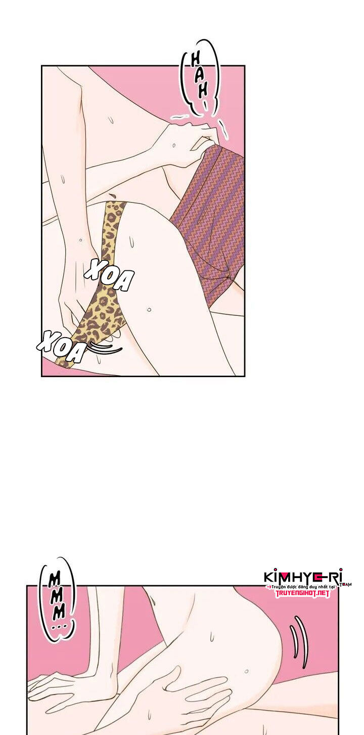 honey bed talk chapter 1 14