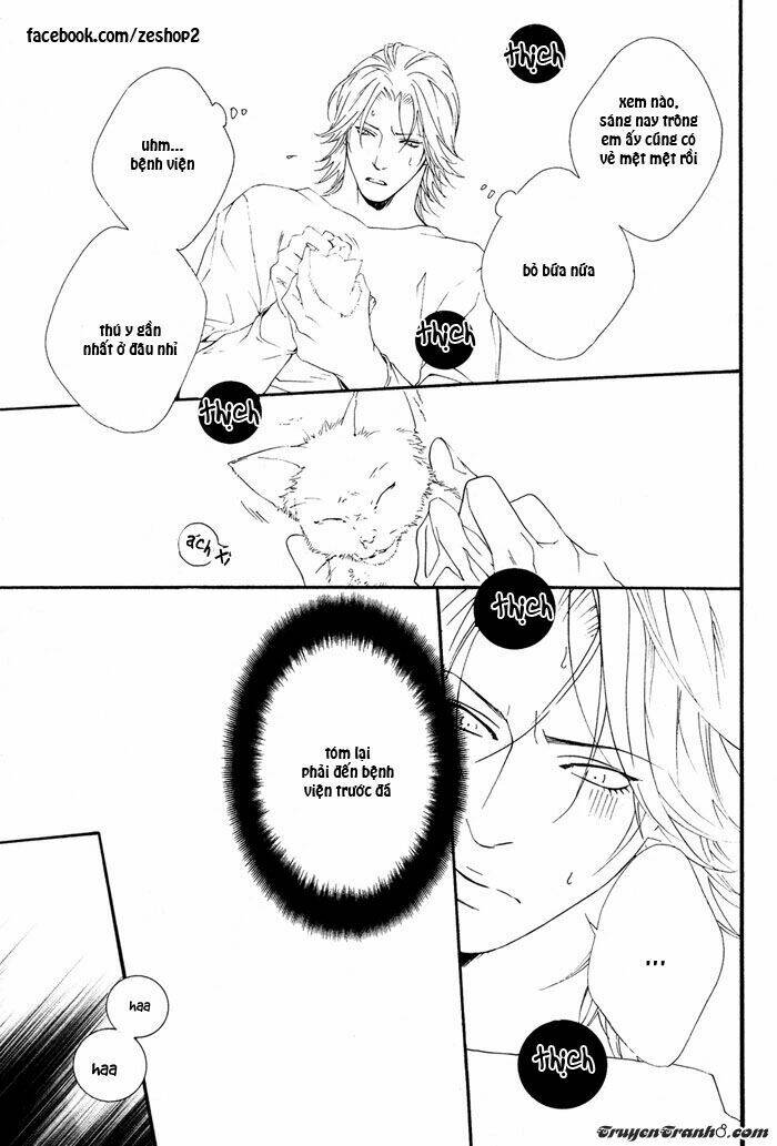 người nuôi mèo và bác sĩ thú y chapter 1 13