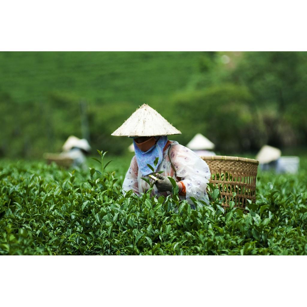 Trà Olong Gyokuro 100G The Kaffeine Coffee