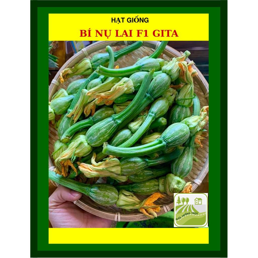 Hạt Giống Bí Nụ Lai 2 Gram