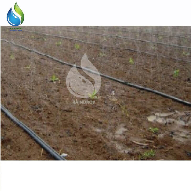 DÂY TƯỚI PHUN MƯA 5 LÔC CHÉO PHI 34