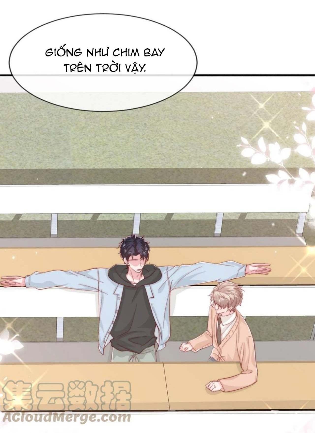 quả chanh và tia chớp chapter 43 4