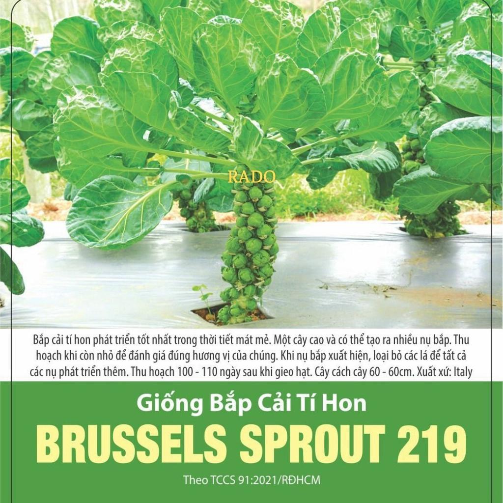 Hạt giống bắp cải tí hon, đóng gói 2gr