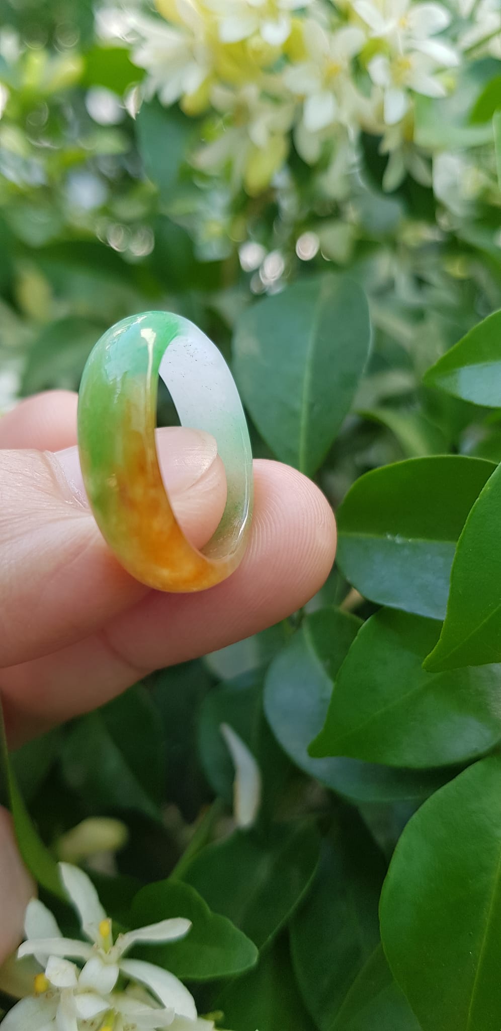 Nhẫn đeo tay nữ đá cẩm thạch tự nhiên Màu Vàng xanh trắng bóng đẹp Nhẫn Ni 17mm x cao 6mm x dầy 2,2mm ạ