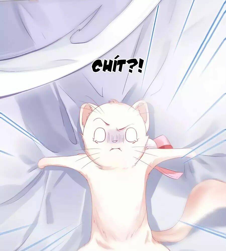 dưỡng thú vi phi chapter 4 7