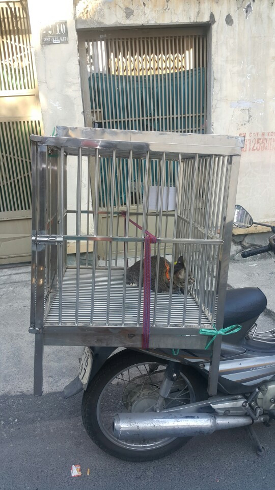 Chuồng Chó Inox đủ kích thước, Hàn chết cố định. Không Tháo ráp