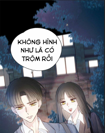 nỗi buồn của hoa cẩm tú cầu chapter 27 28