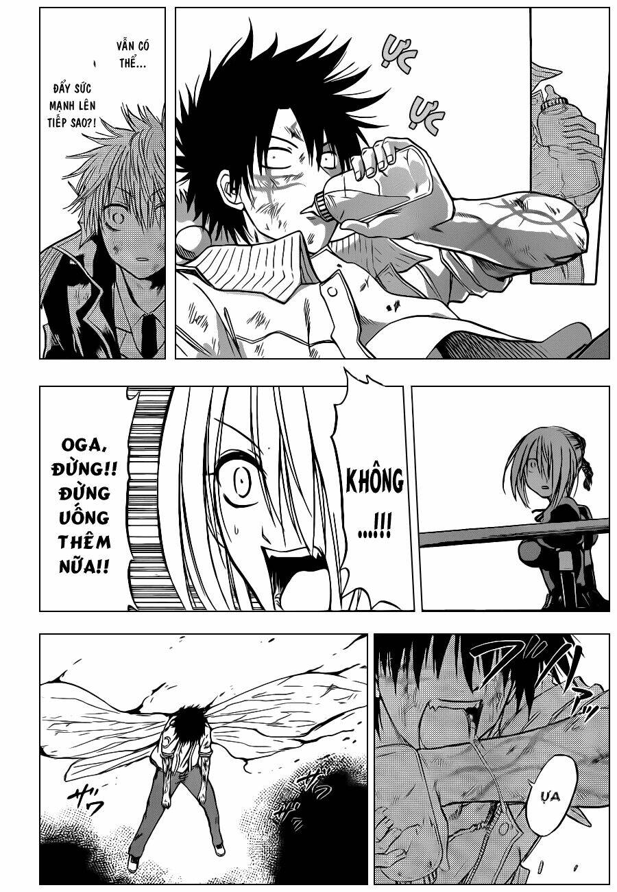 beelzebub - vua quỷ chapter 108 19