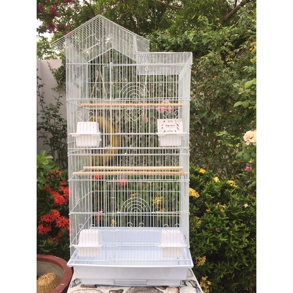 Lồng nuôi vẹt lovebird , cockatiel , greencheek , sun , ngực hồng , monk ..