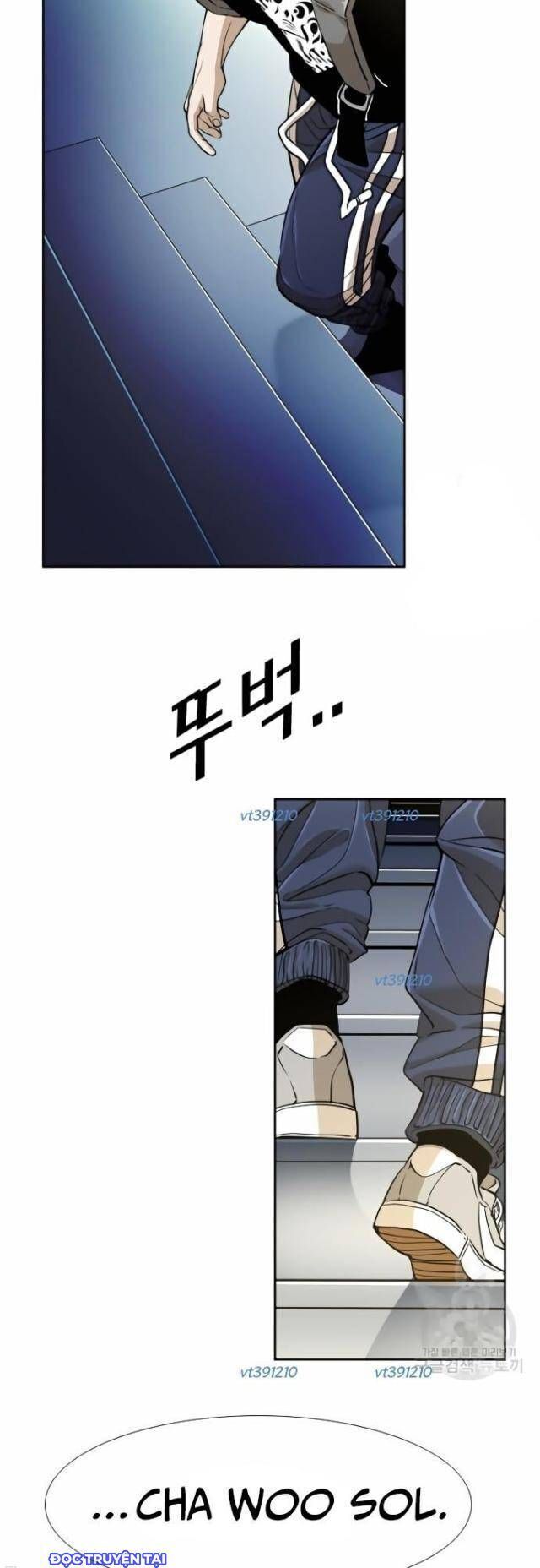 shark - cá mập chapter 250 55