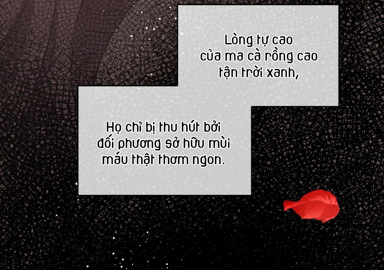 luân đôn trong màn đêm chapter 11 11