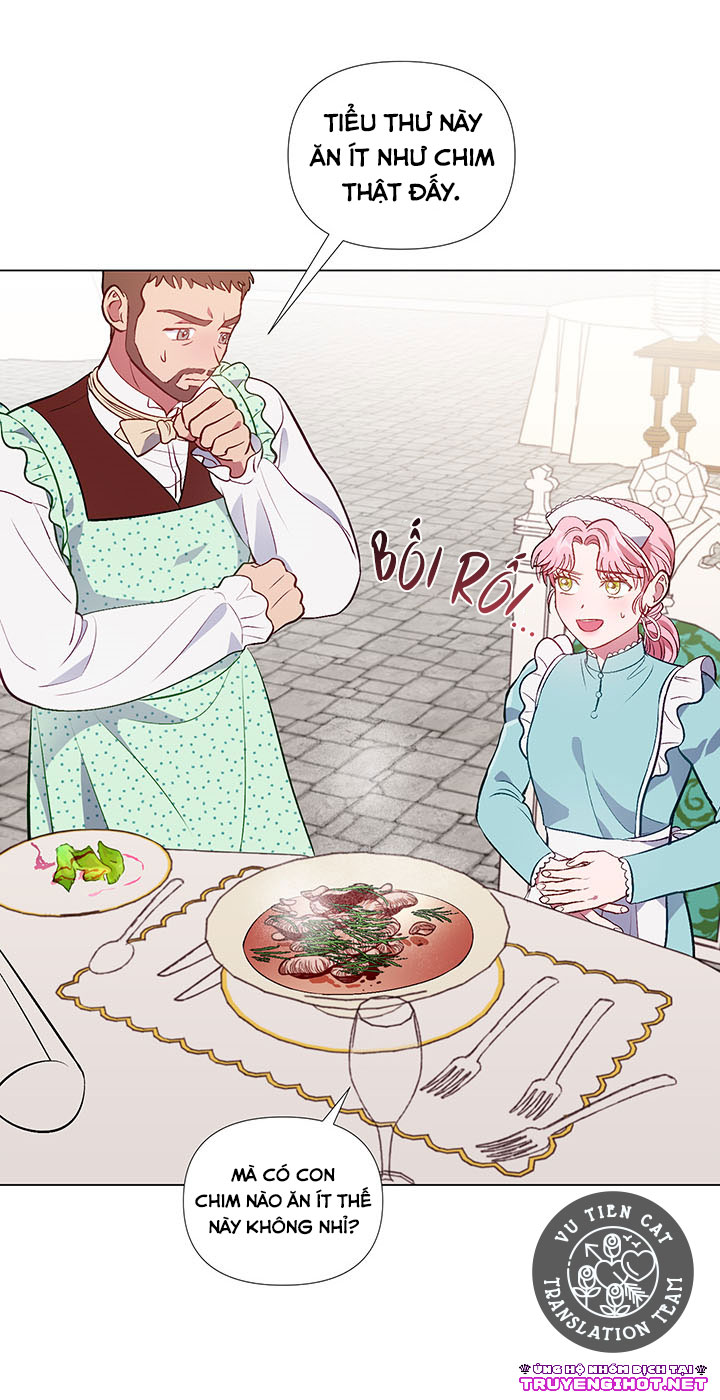 elizabeth chapter 29 43