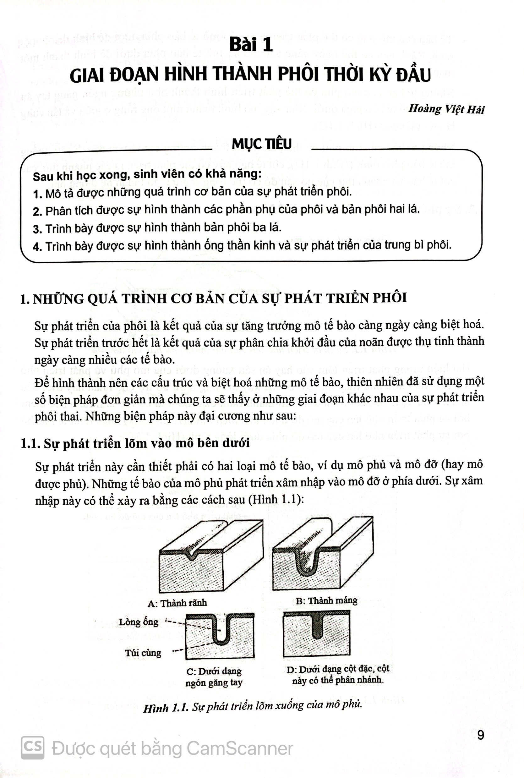 Benito - Sách - Mô phôi Răng Hàm Mặt - NXB Giáo dục