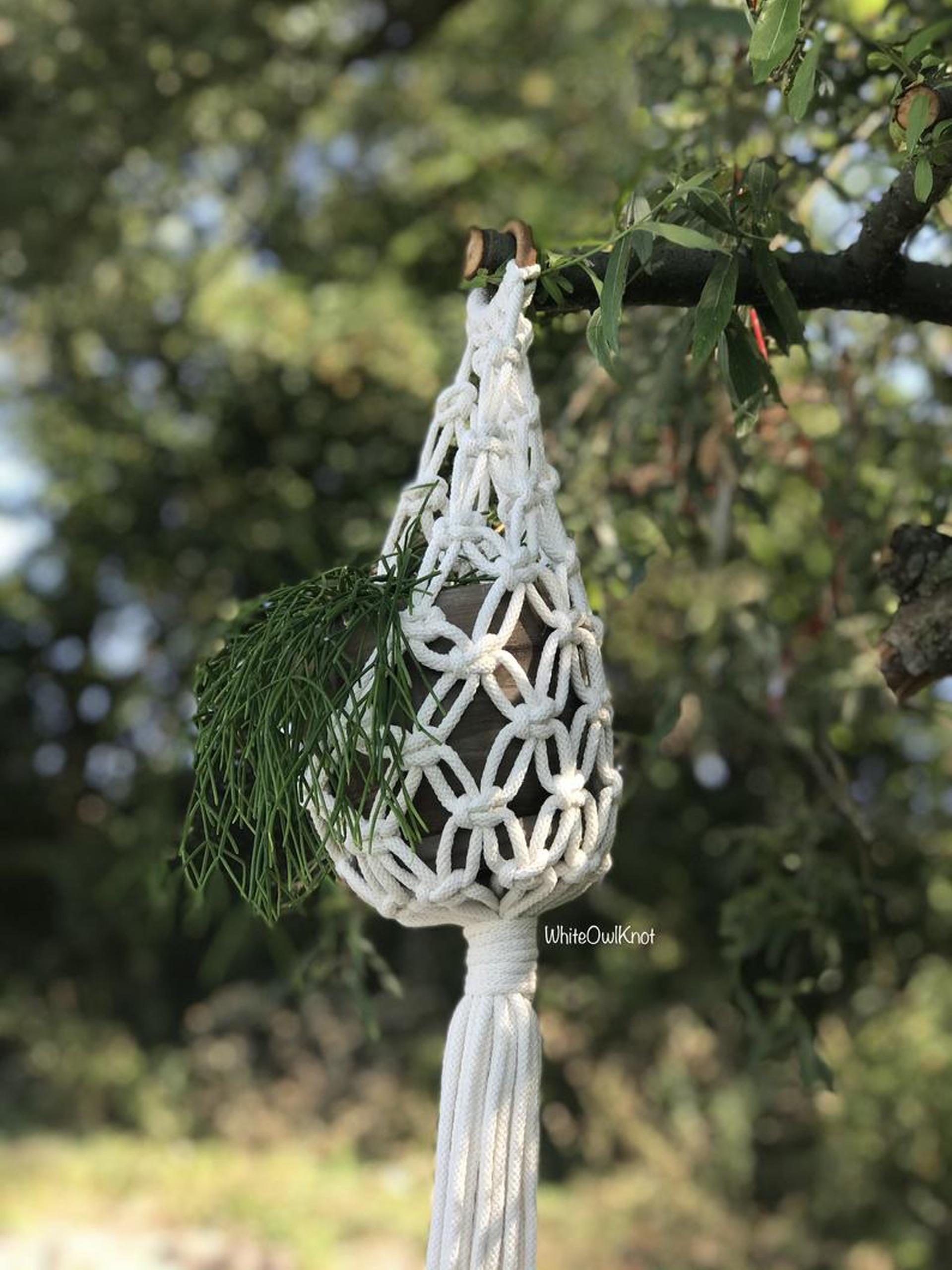 Giỏ Macrame treo chậu cây cảnh, trang trí treo tường kết hợp vòng gỗ nâu. Phong cách Boho. GTT17321