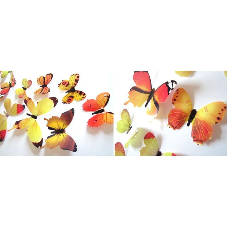 Decal dán tường Bướm 3D