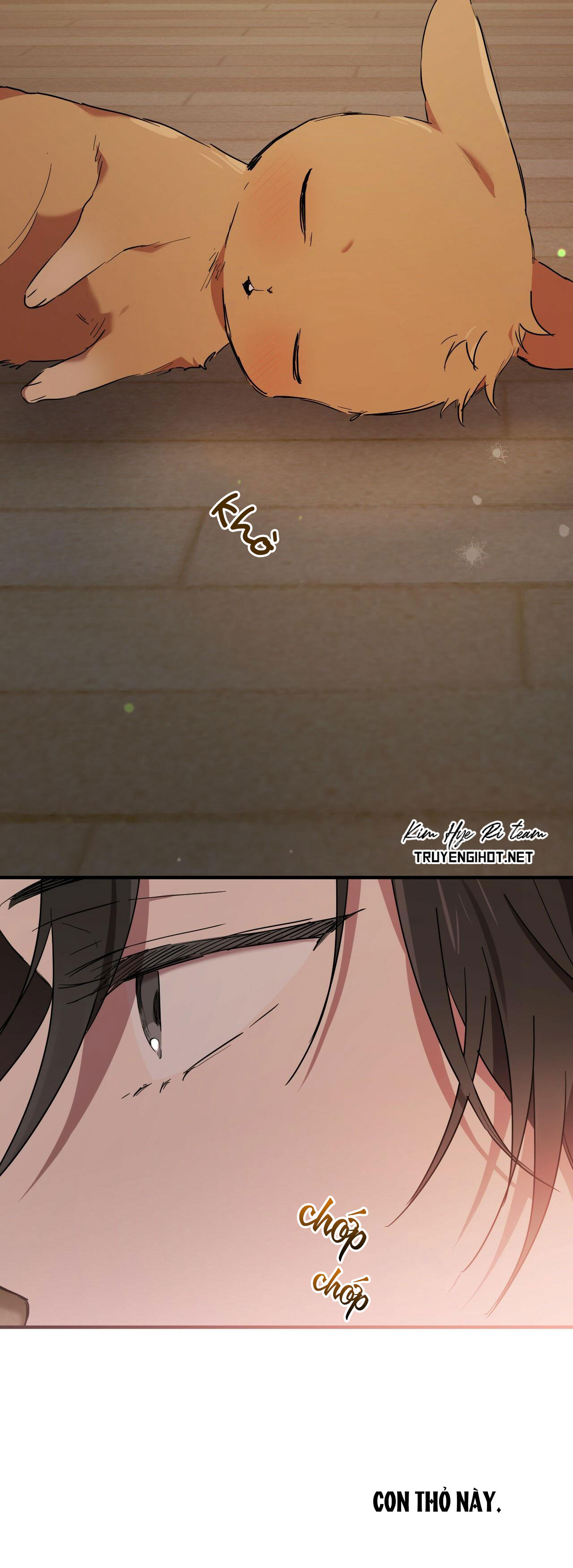 những chú thỏ của hapypy chapter 13 63