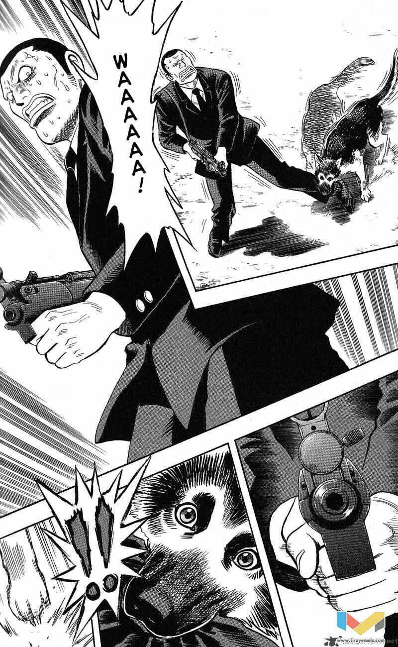 animal sense chapter 12 28