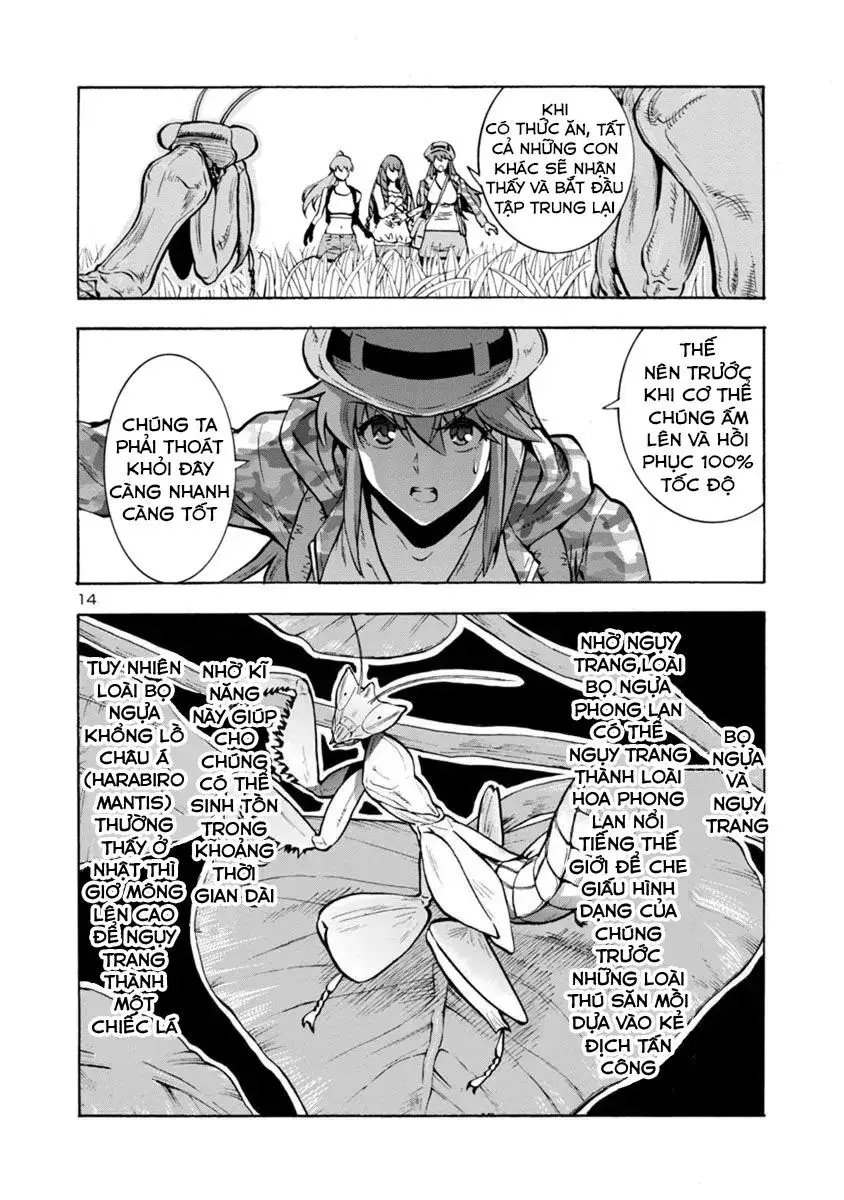 Siêu Đảo Côn Trùng chapter 11.2 14