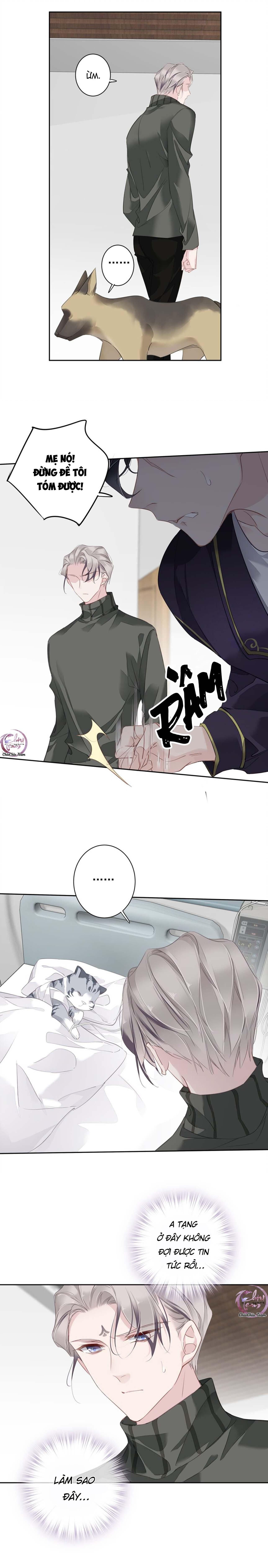 cuộc mai mối vượt giống loài chapter 55 3