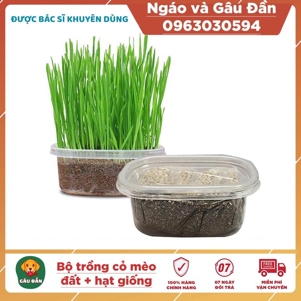 Set hộp hạt giống cỏ trồng và đất cho mèo - Set hạt giống cỏ Ngáo Và Gâu Đần