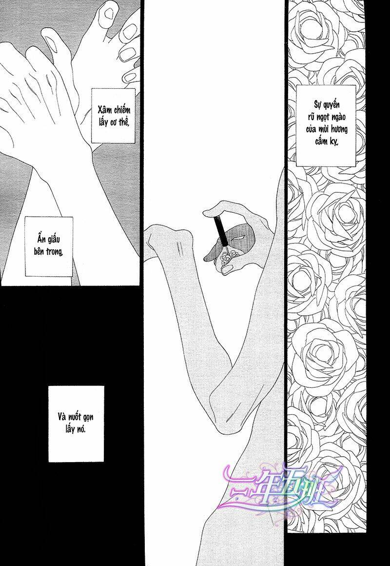 kaori no keishou~ hương thơm quyến rũ chapter 1 6