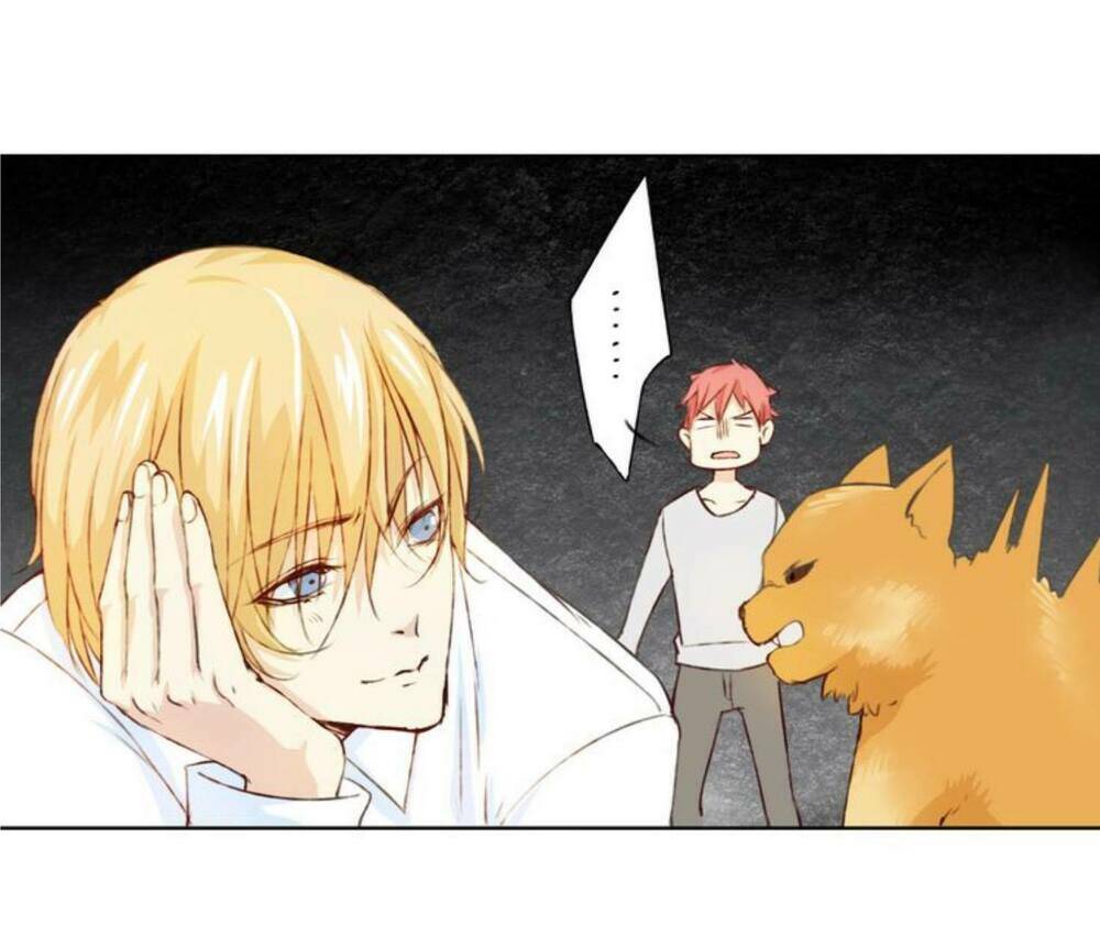 tôi không phải đa nhân cách chapter 12 15