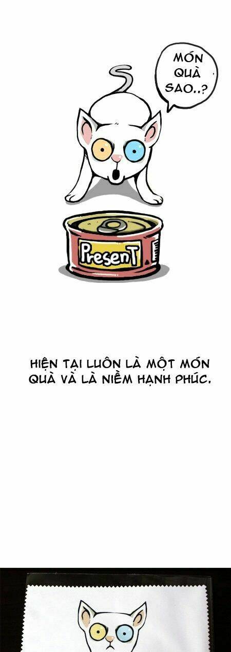 earth, human, and animal chapter 12 23