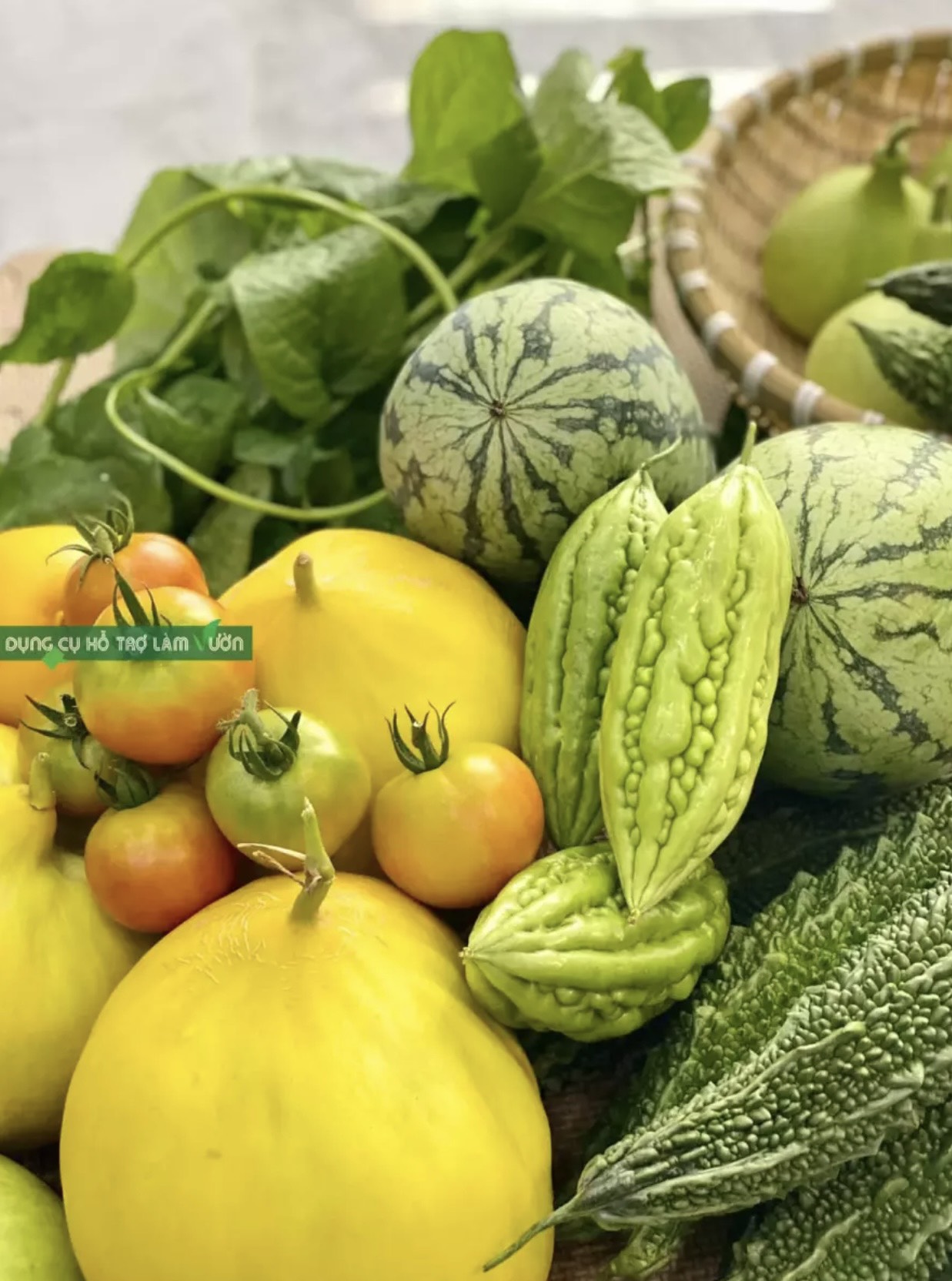 Phân hữu cơ sinh học Minro Hà Lan 700gr
